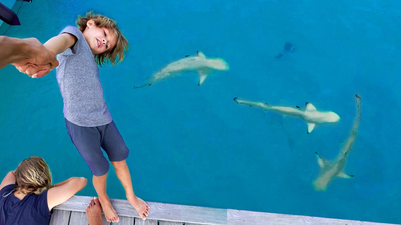 TRUST FALL with SHARKS in the Maldives - Manilla's 7 yr old Birthday!