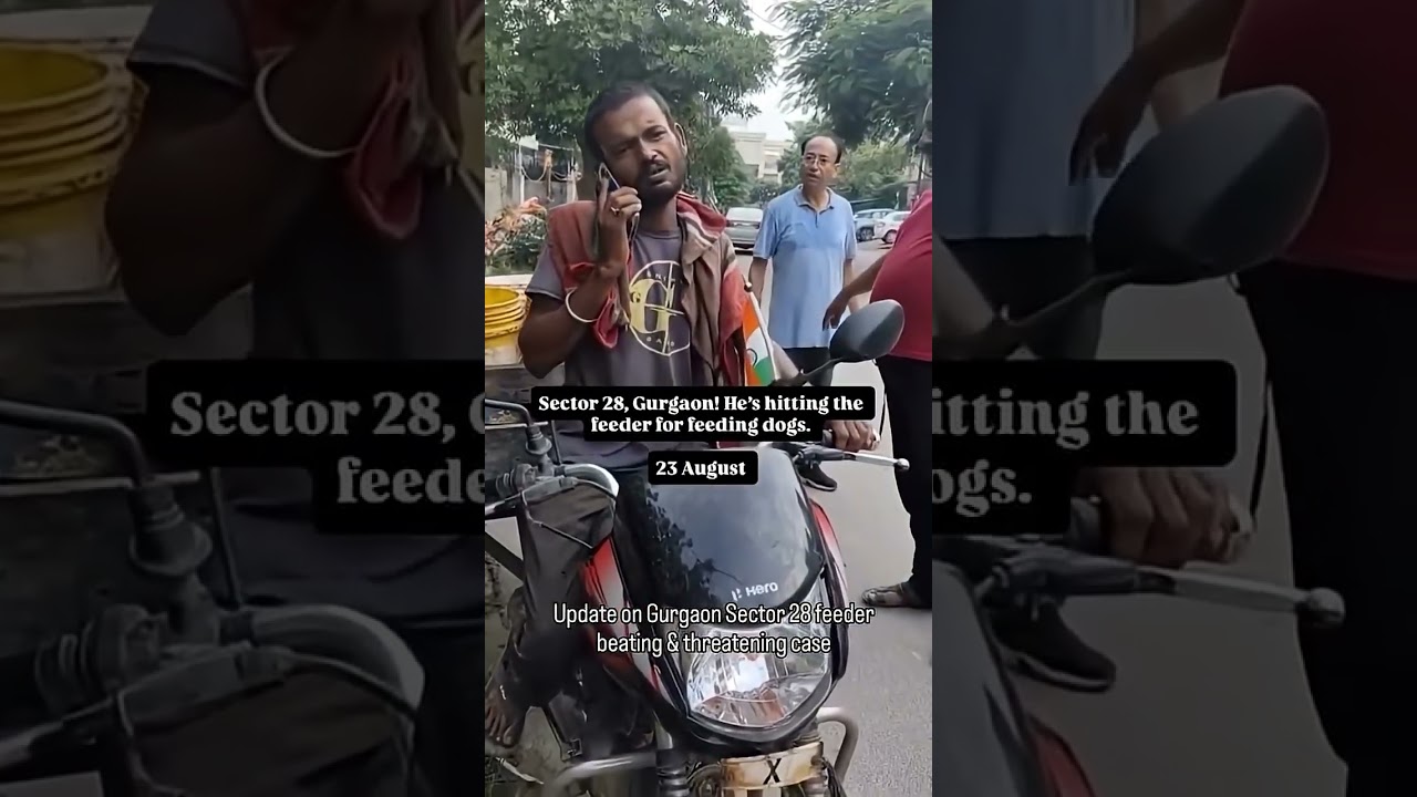 Update on gudgaon dog feeder attack case 