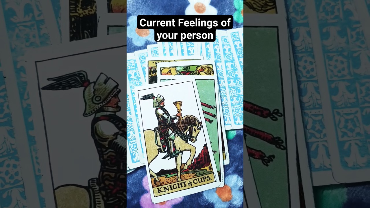CURRENT FEELINGS OF YOUR PERSON ❤💫#tarot #livetarot #shorts #share #ytshorts