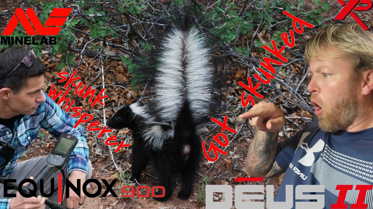 Equinox 900: Slayed Civil War Site Deus 2 Got Skunked