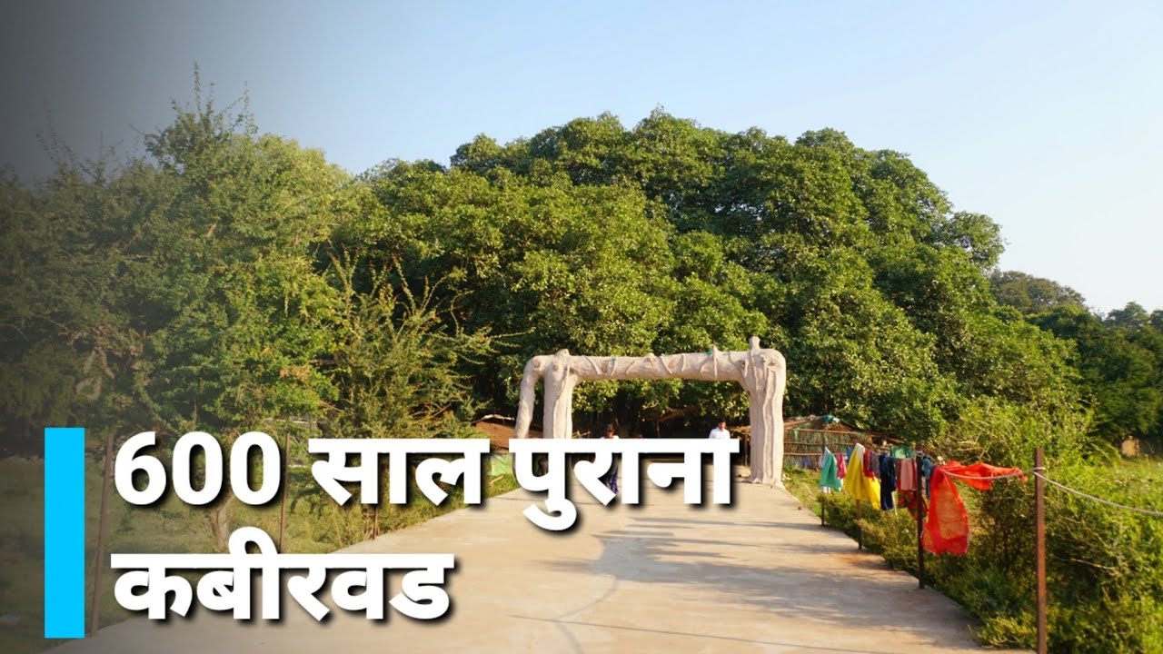 कबीरवड का इतिहास - Walking in Kabirvad - Kabirvad bharuch | Vijay Kumawat