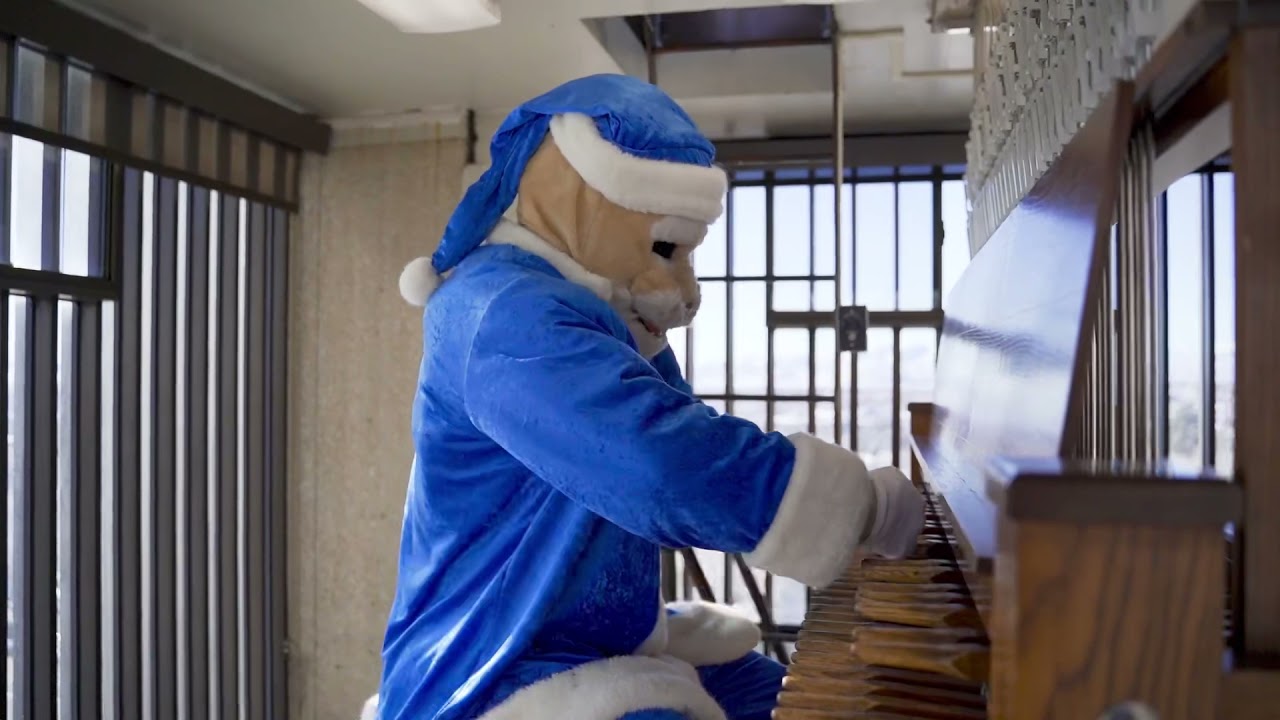 COSMO PLAYS CAROL OF THE BELLS IN THE BELL TOWER! 🔔🎄