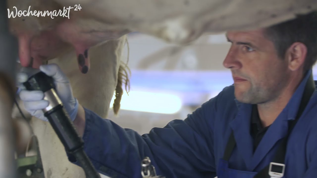 Dorfmilch Imagefilm in Zusammenarbeit mit WM24
