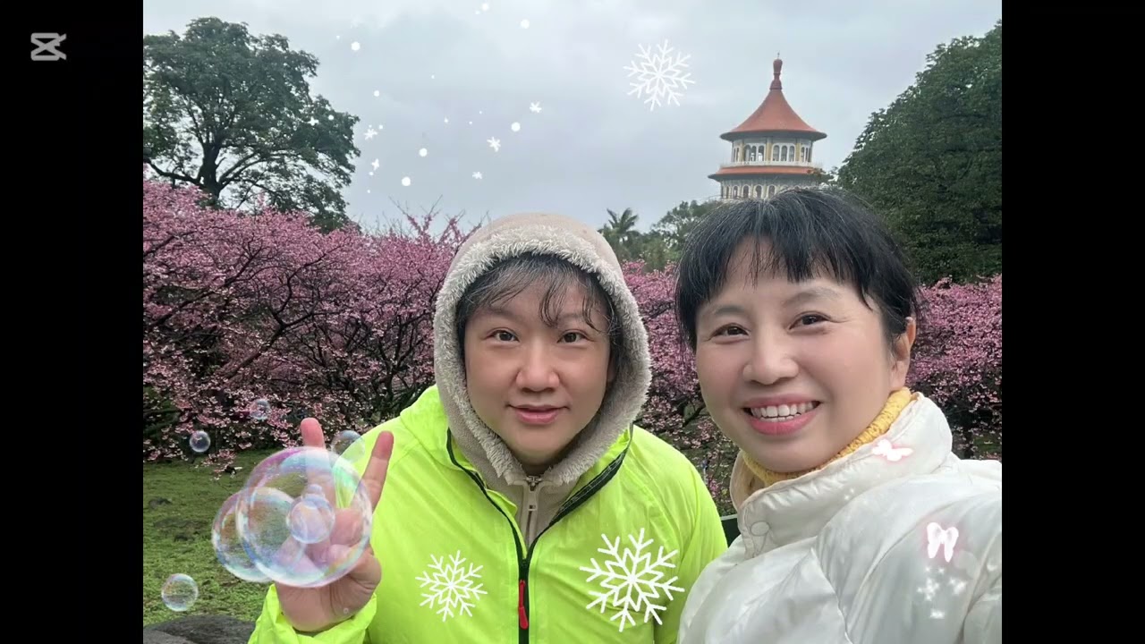 無極天元宮三色櫻