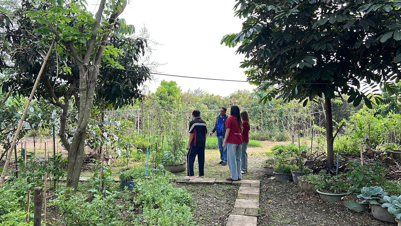ทุนในชุมชน บ้านคลองน้ำไหล ตำบลคอรุม อำเภอพิชัย จังหวัดอุตรดิตถ์ 