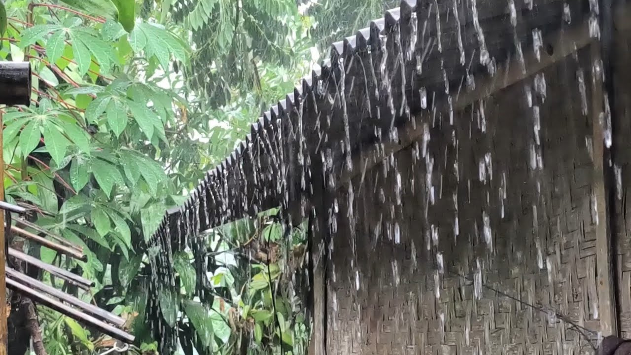 Heavy Night Rain on the Roof 🌧️ Deep Sleep Rain Sounds