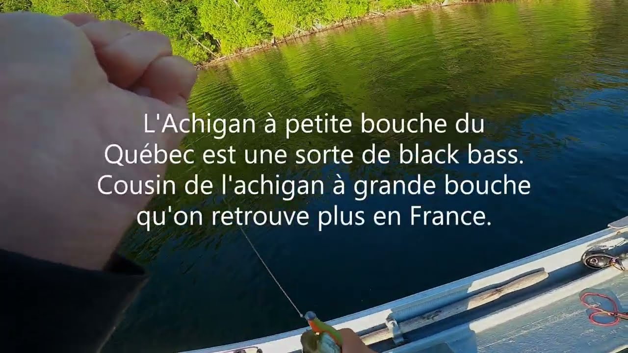 Comment pêcher le black bass du Canada? Pourvoirie du Lac à l'eau Claire QUEBEC