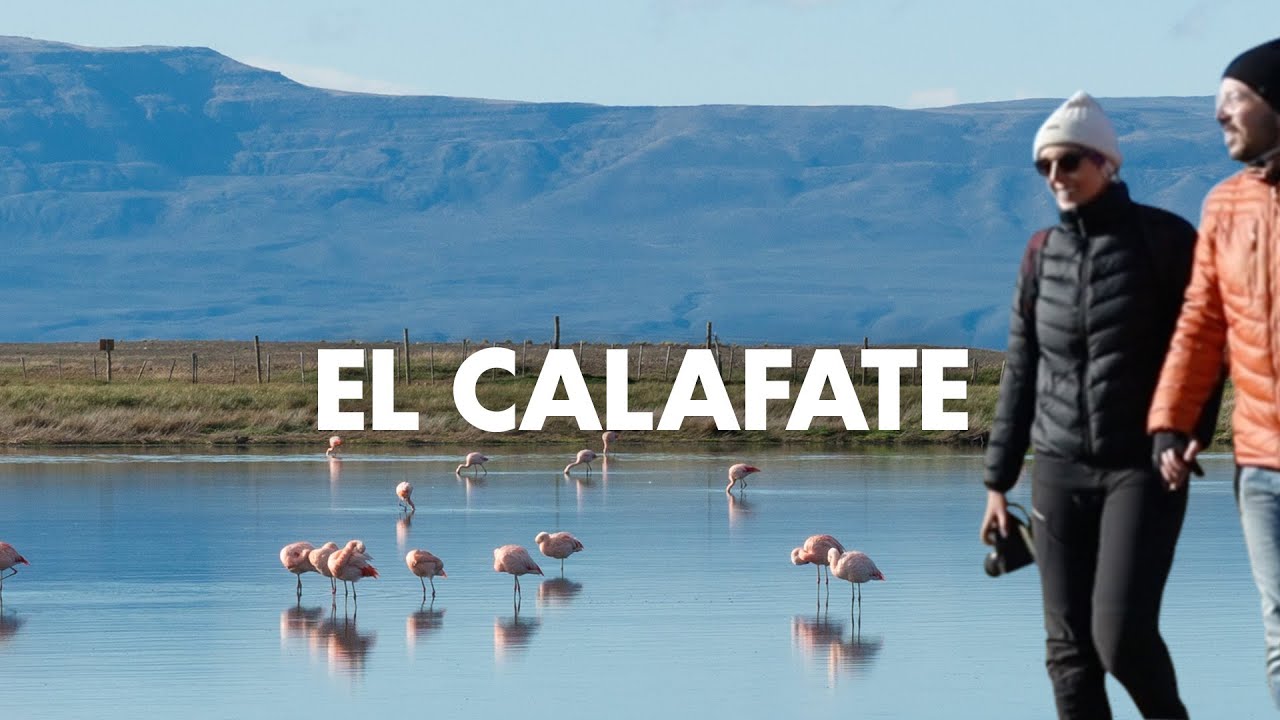 ¿Qué hacer en El Calafate? (Imperdibles, comidas y alojamiento) 🇦🇷