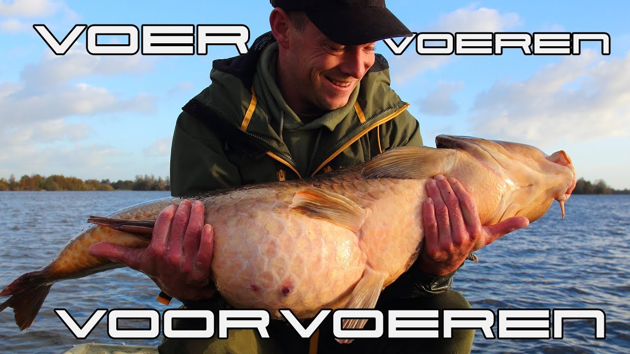 Karpervissen Voer Voeren en VoorVoeren - Aanpakkken #AANPAKKEN #KARPERVISSEN
