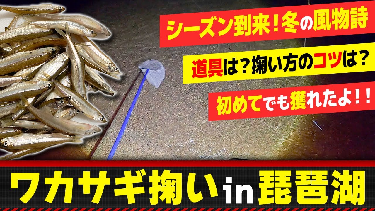 【琵琶湖】初ワカサギ掬いに大興奮!網だけ持って時間を忘れて遊び尽くすw