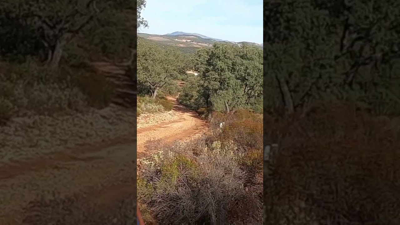 Bonito lance a conejo en cortadero