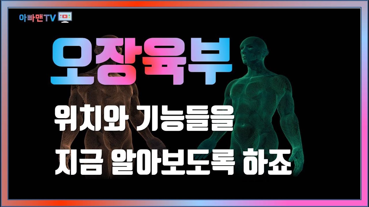 오장육부 위치 기능에 대해 알아보죠