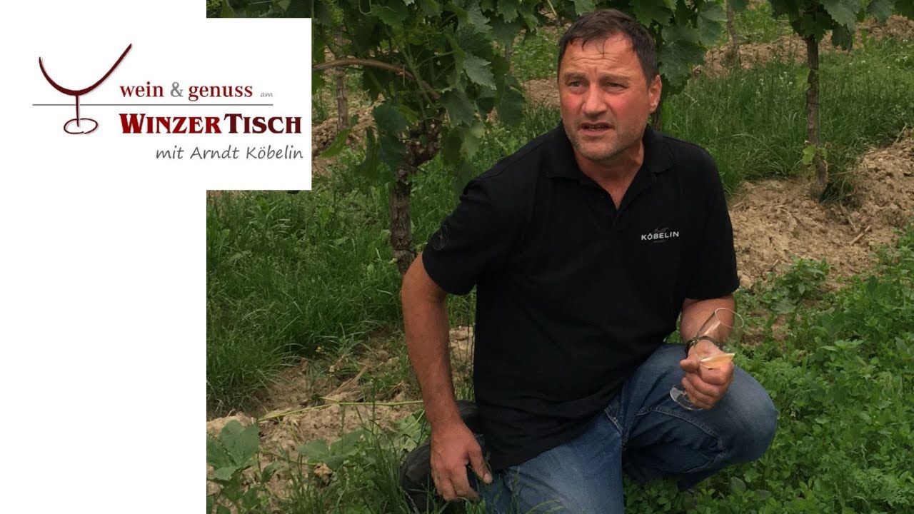 WinzerTisch mit Arndt Köbelin | Wein & Genuss
