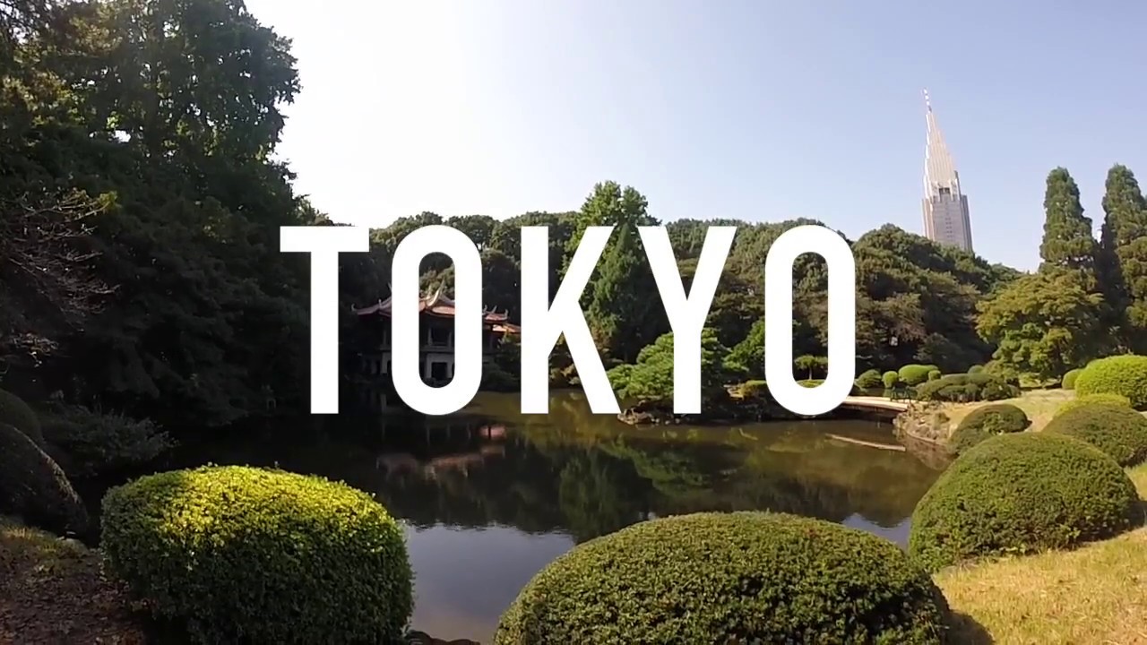Tokyo 2016 (UIST 2016) - Akihabara, Shinjuku, Meiji Shrine, Shibuya, Nezu Museum, Ueno Park