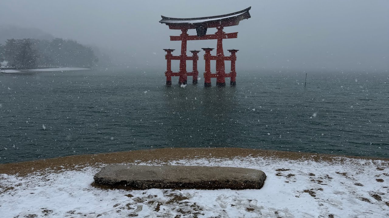 Snow shiroji indoors, Snow blizzard outdoors! (Day 5)