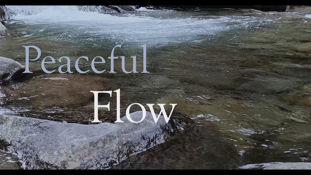 Relaxing Nature Soundscape 🌿 Clear River & Soft Music