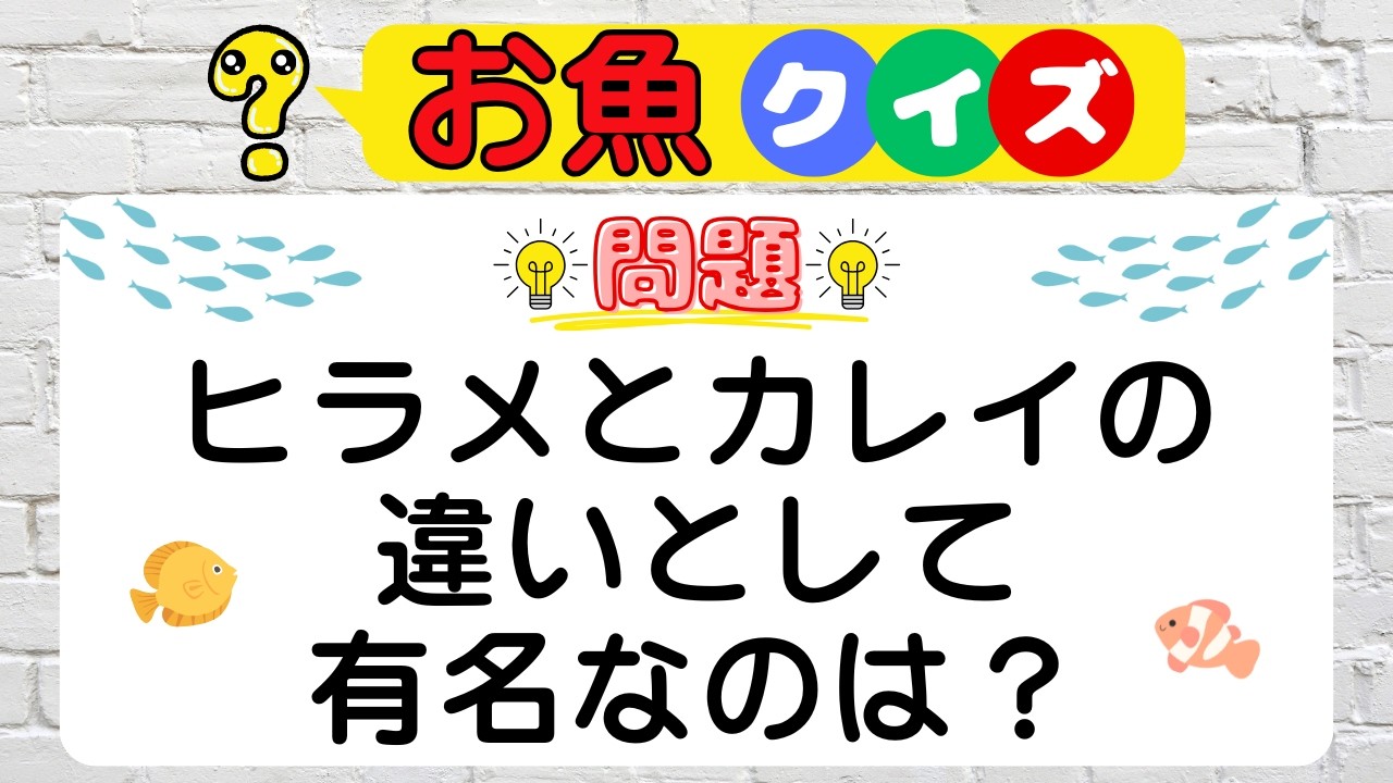 【魚クイズ】明日はさかなの日！99％が勘違いする意外と知らない魚の世界！