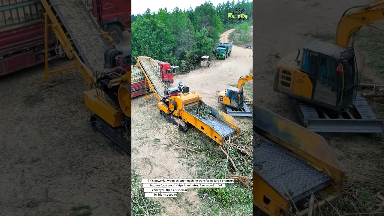 This Machine Turns Trees into Wood Chips Fast 🌳⚙️ | Industrial Wood Chipper