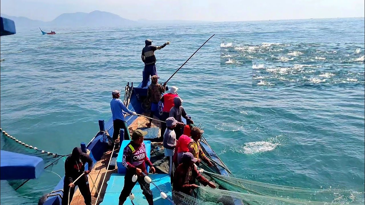 Jaring lingkar, Luar biasa gak di sangka dapat banyak ikan cakalang, begini prosesnya