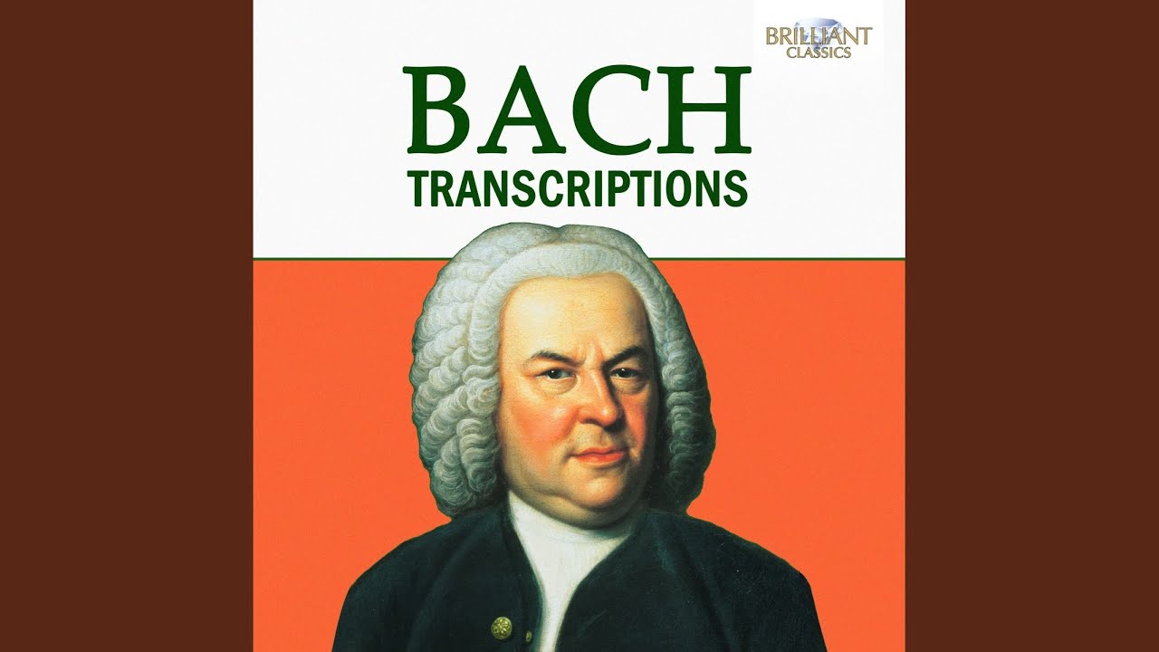 Concerto in D Major, BWV 1042: I. Allegro