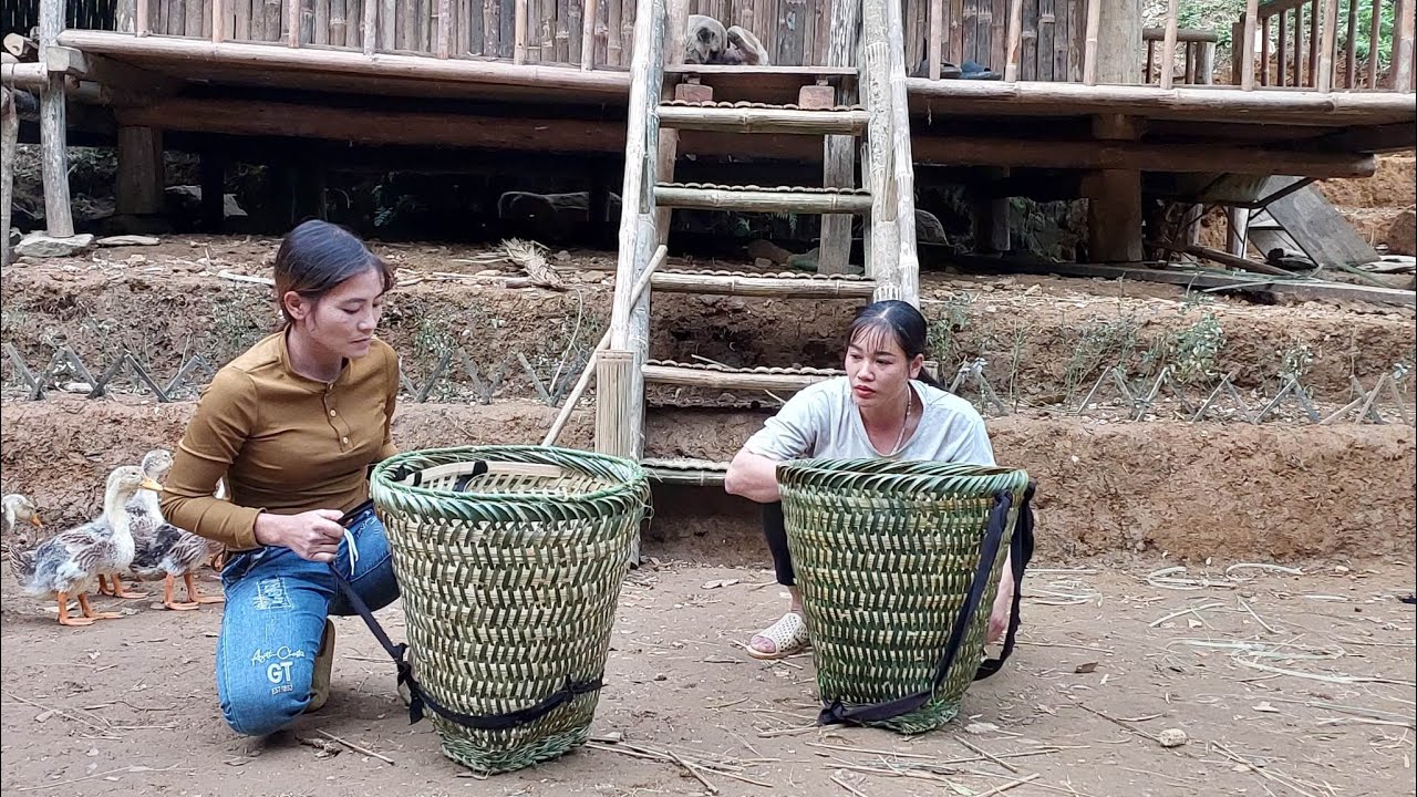 How To Make Corn Bamboo Basket - Carry corn on your back - Green Forest Life building farm