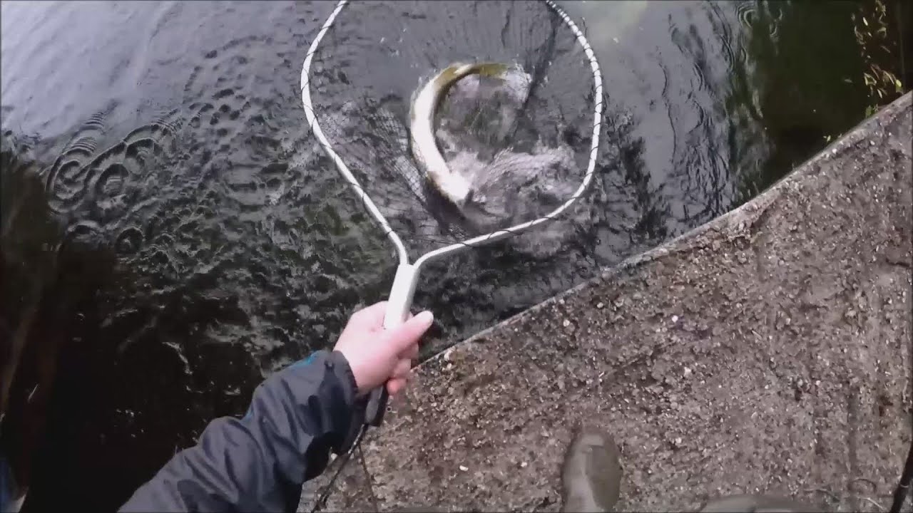 GoPro f&uuml;r Spinnangler