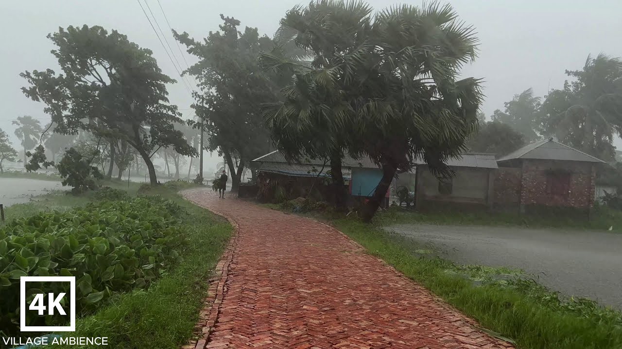 Heavy Windy and Heavy Rain | Walking through my Small Village | village life