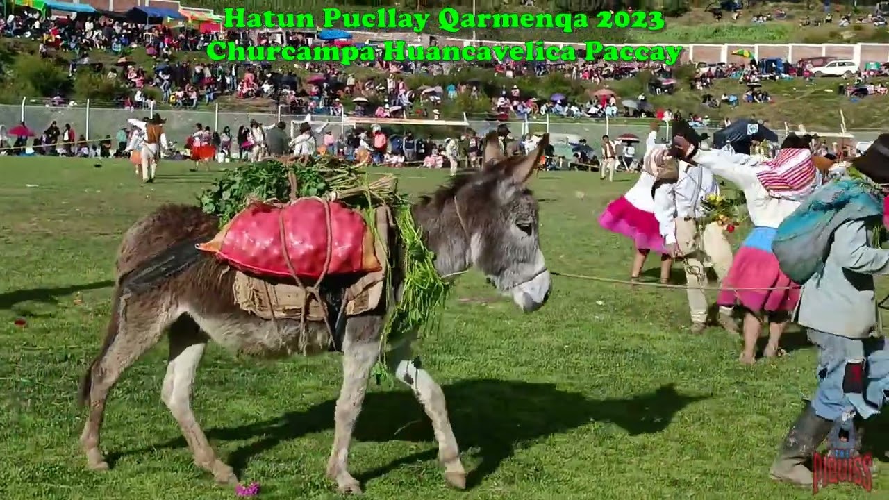 (Paccay) Hatun Pukllay Qarmenqa 2023  Churcampa Huancavelica Paccay..