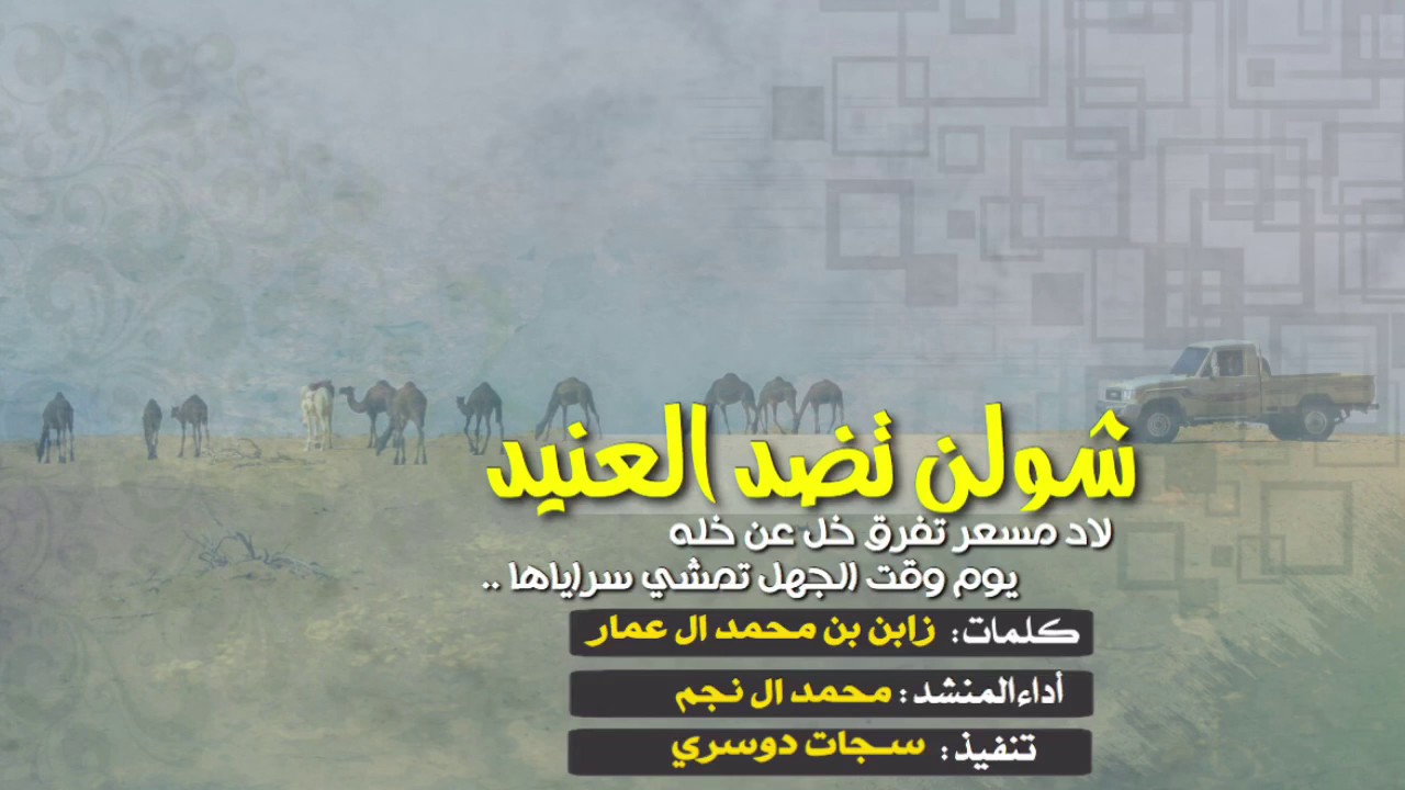 شيله #اقلاعيه 
