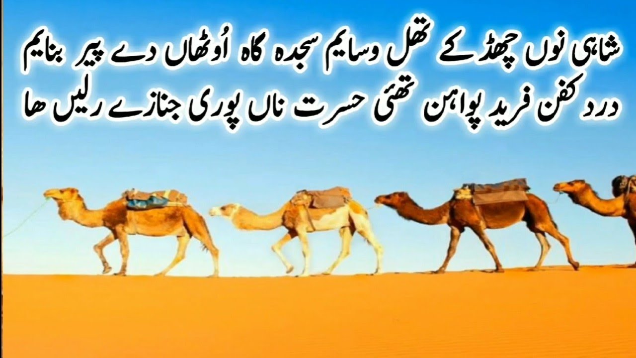 Qari Zubaid Rasool | Raag Sindhra | Kalam Khawaja Ghullam Fareed | Ramzan Qadri | Burewala