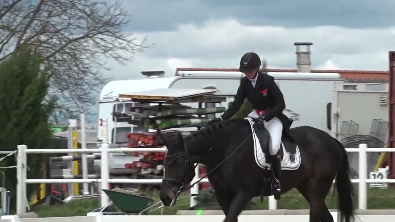 Audrey Gilson - Irish Secret - CCI*** - Ried am Riederberg 2023 april 1-2