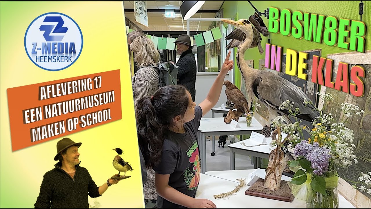 Bosw8er In De Klas: Een Natuurmuseum Maken Op School (aflevering 17) 4k