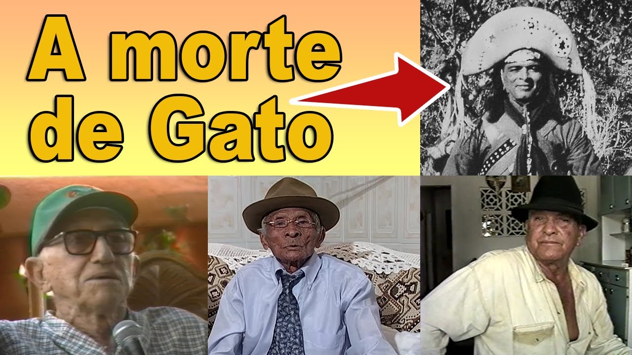 Gato invade Piranhas