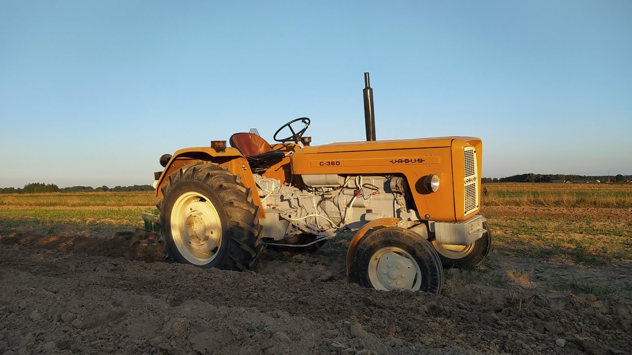 PIERWSZA ORKA ŻÓŁTKIEM|ORKA POD PSZENŻYTO|C-360 W AKCJI