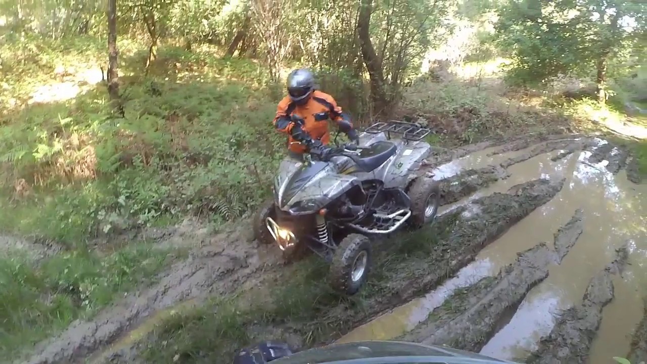 kingquad 700 kawasaki kfx 700