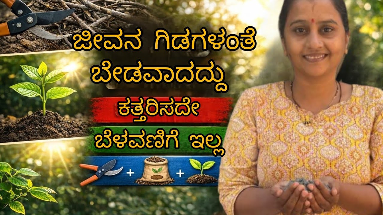 ಗಿಡಗಳನ್ನ ಕತ್ತರಿಸಿದಾಗ ನನಗೆ ತಿಳಿದ  ಸತ್ಯ | Kannada Motivation|kannada vlogs #dailyvlog 