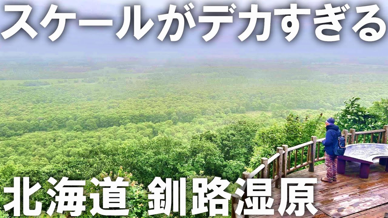 【釧路湿原】日本最大の湿原地帯　釧路湿原を見に行った！