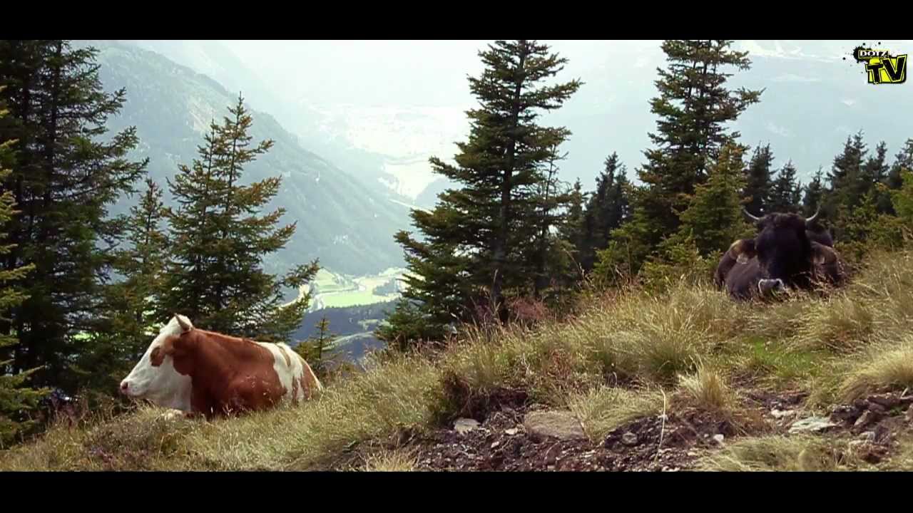 DOTZ TV: Andi Brewi & friends @ Nine Knights MTB 2011 presented by DOTZ Tuning Wheels