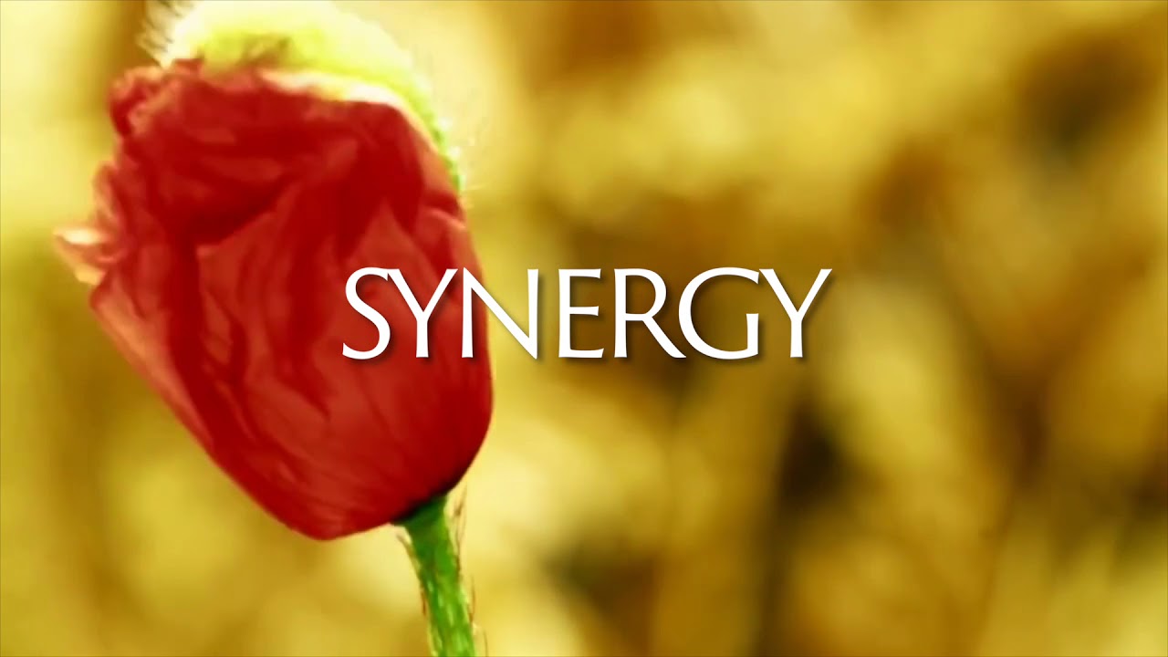 Synergy Corporate Video