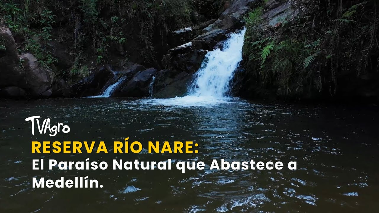 Reserva Río Nare: El Paraíso Natural que Abastece a Medellín - TvAgro por Juan Gonzalo Angel