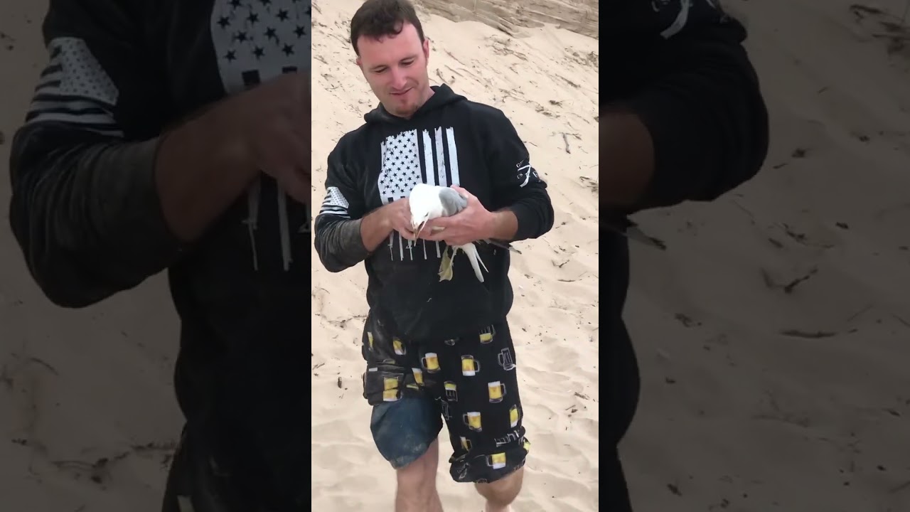 Catching A Seagull at the Beach! 