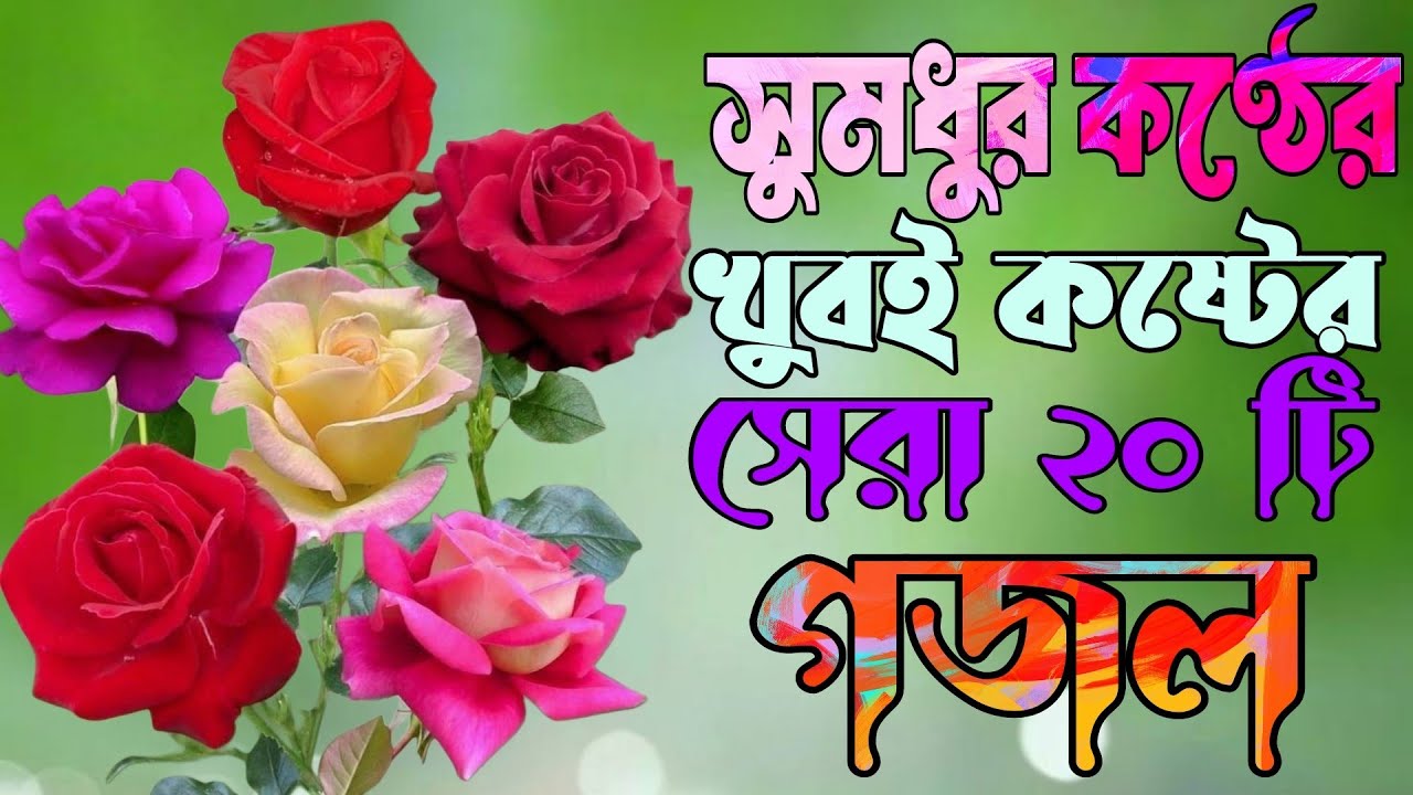 সুমধুর কণ্ঠের খুবই কষ্টের তোফাজ্জল হুজুরের ২০ টি গজল | Tofajjol Hujurer Gojol | Best Gojol | Nasheed