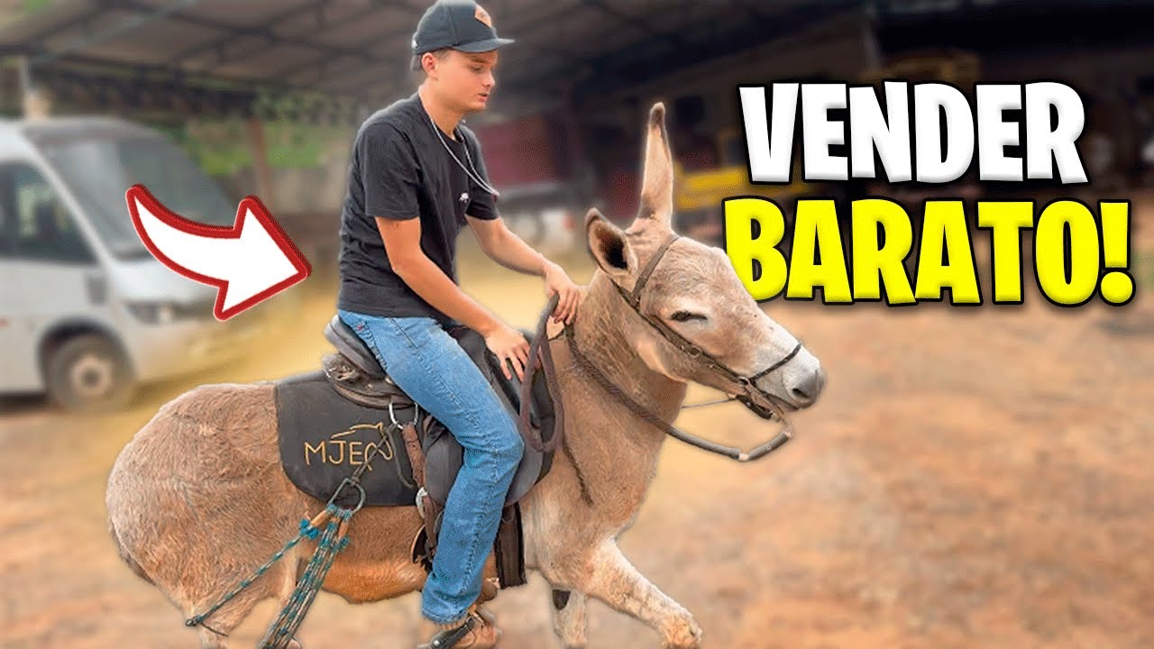TENTEI VENDER o JUMENTO CHICO ESCONDIDO do MEU PAI !!