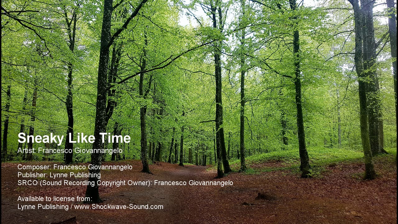 Sneaky Like Time - Francesco Giovannangelo (Lynne Publishing)