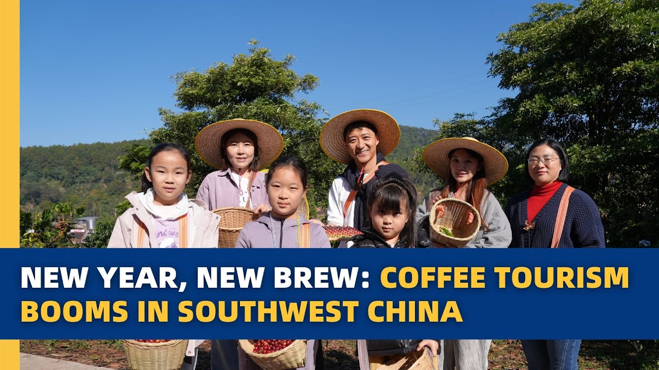 Новый год, новая чашка кофе: кофейный туризм переживает бум на юго-западе Китая.