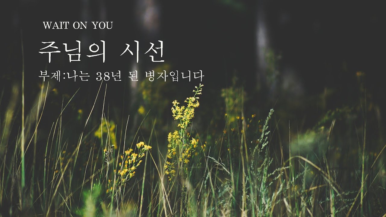 주님의 시선 | 부제 : 나는 38년 된 병자입니다 | Wait On You | 1시간 묵상찬양 | 예람워십