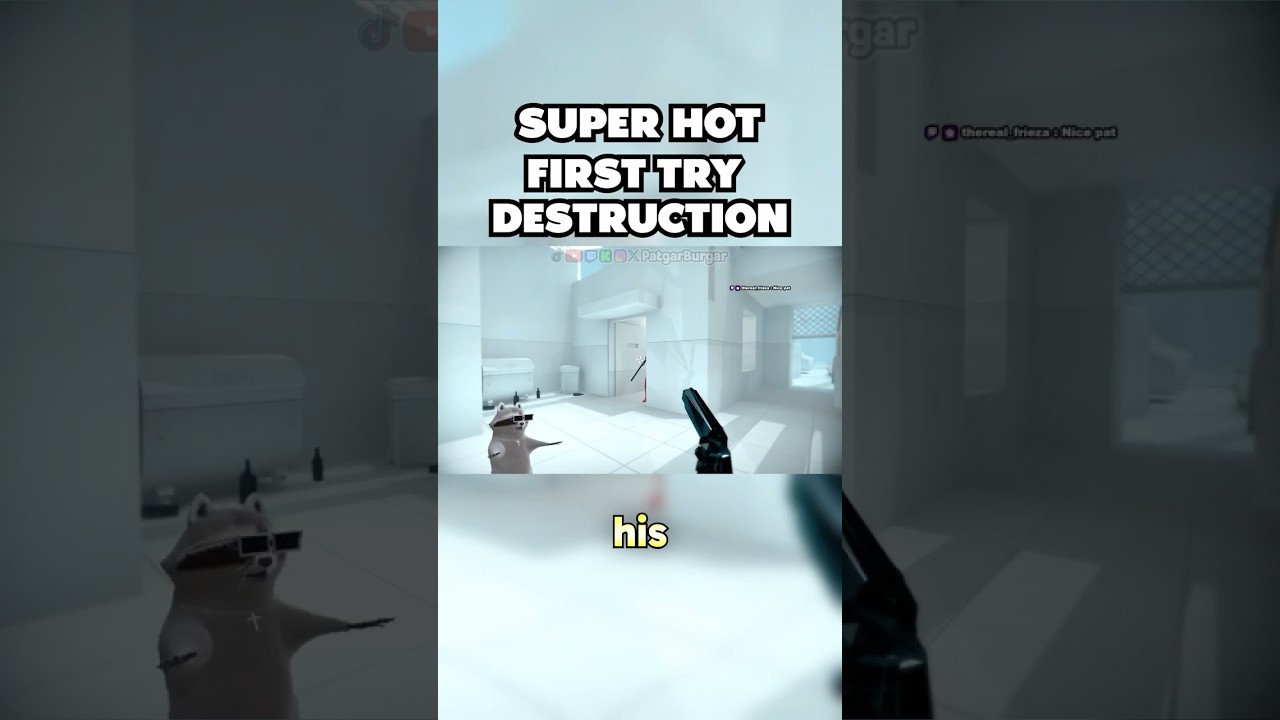 Первая попытка #енот #оченьгорячо