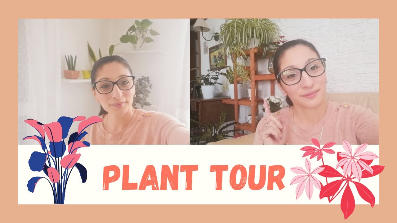 PLANT TOUR....HO SUPERATO LE QUARANTA PIANTE IN CASA