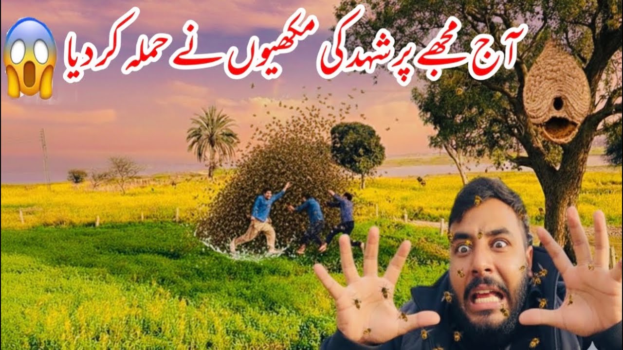 Aj Mara sath bot bura hway 😳