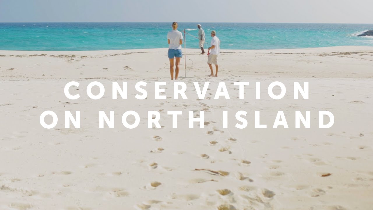 North Island, Seychelles - Conservation on North Island